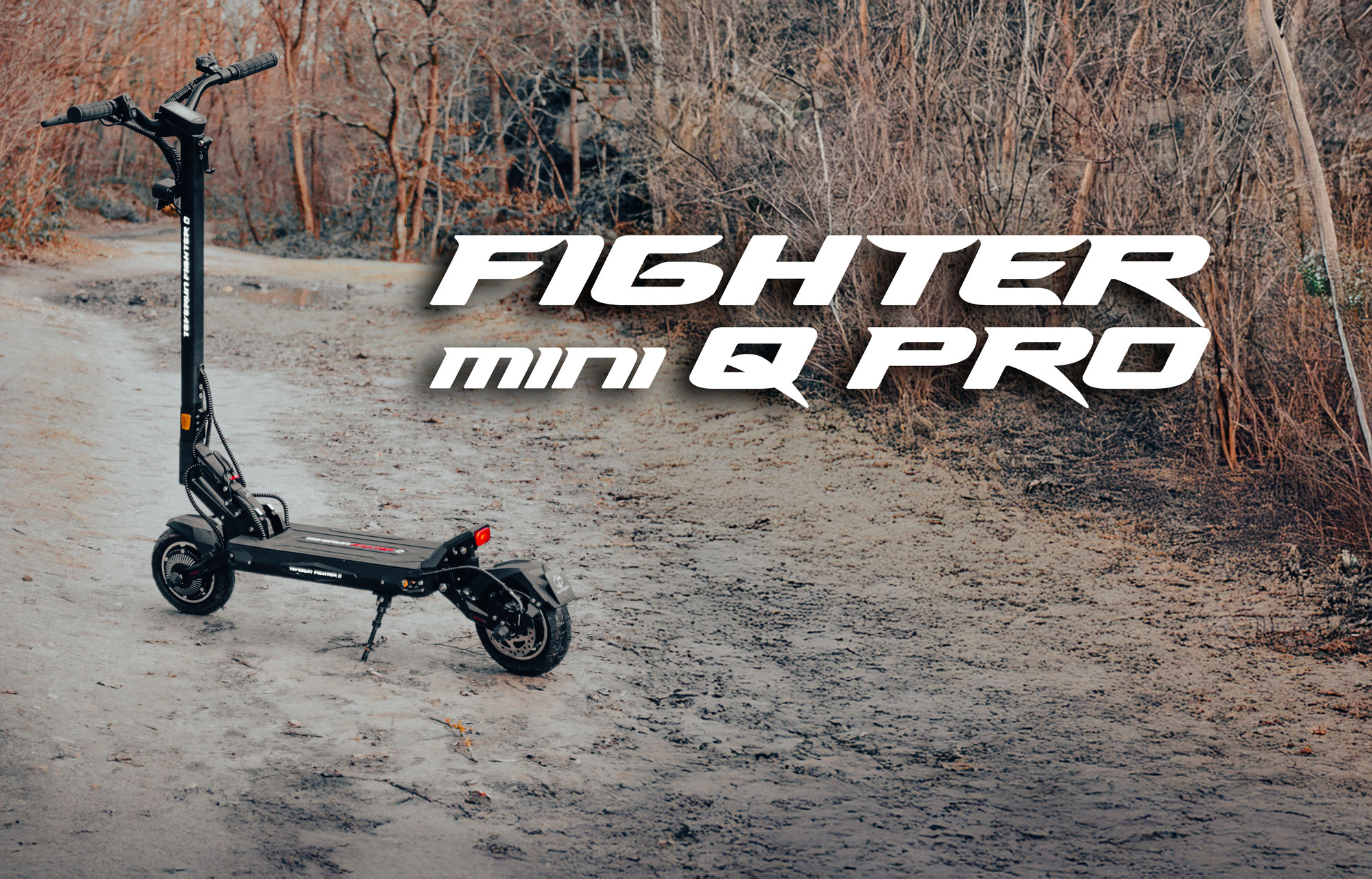 teverun fighter q pro