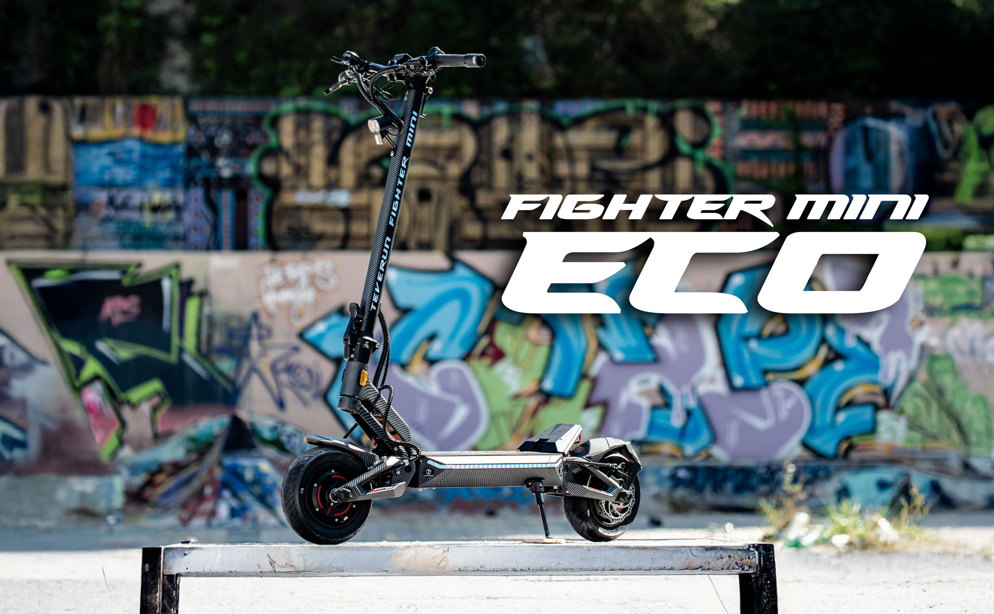 teverun fighter mini eco